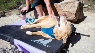 Whiskey Bike, Margarita Hydration, ‘Trail Magic’ Kit, and More Emerging Gear