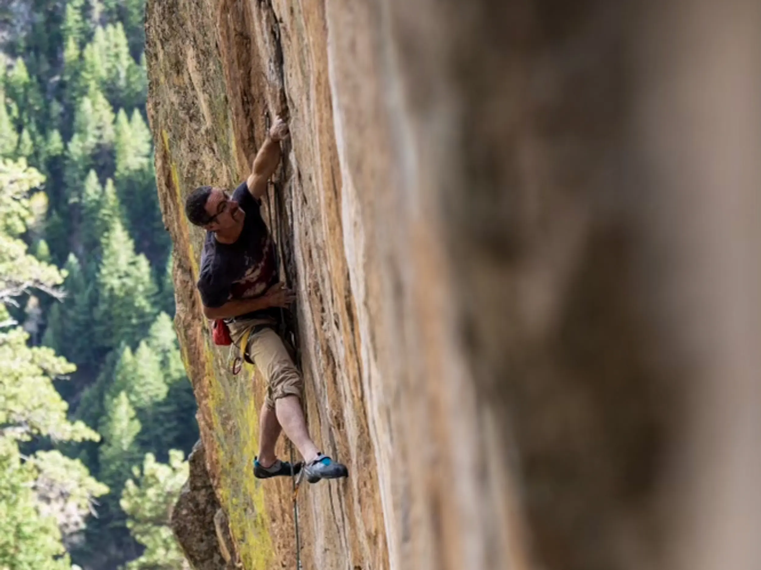 Dumpster Diving: The Proven Path to Professional Success in the