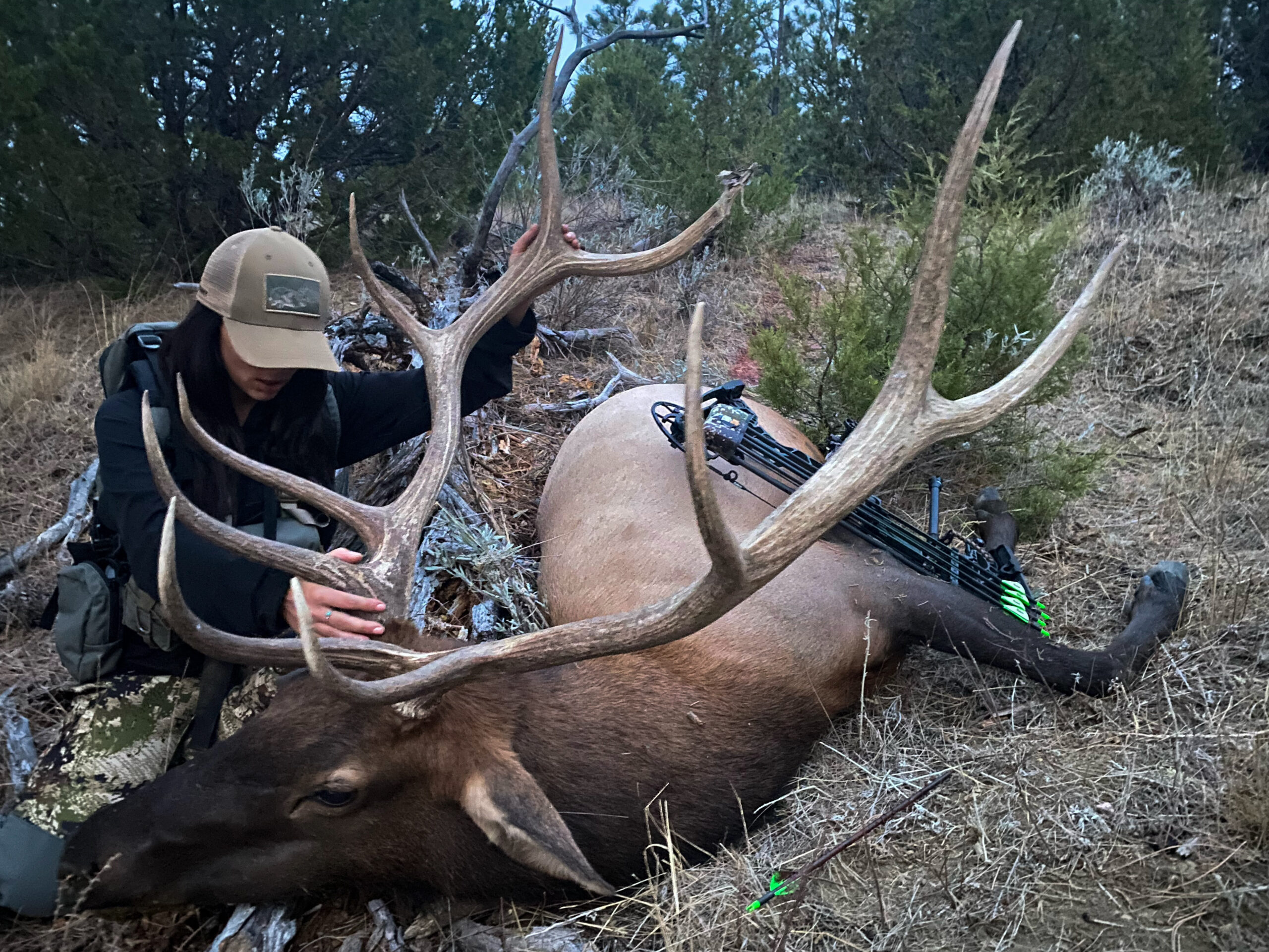 Rachelle Schrute (Author) with a successfully hunted bull elk