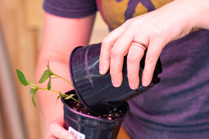 Silicone Rings Stackable Detail