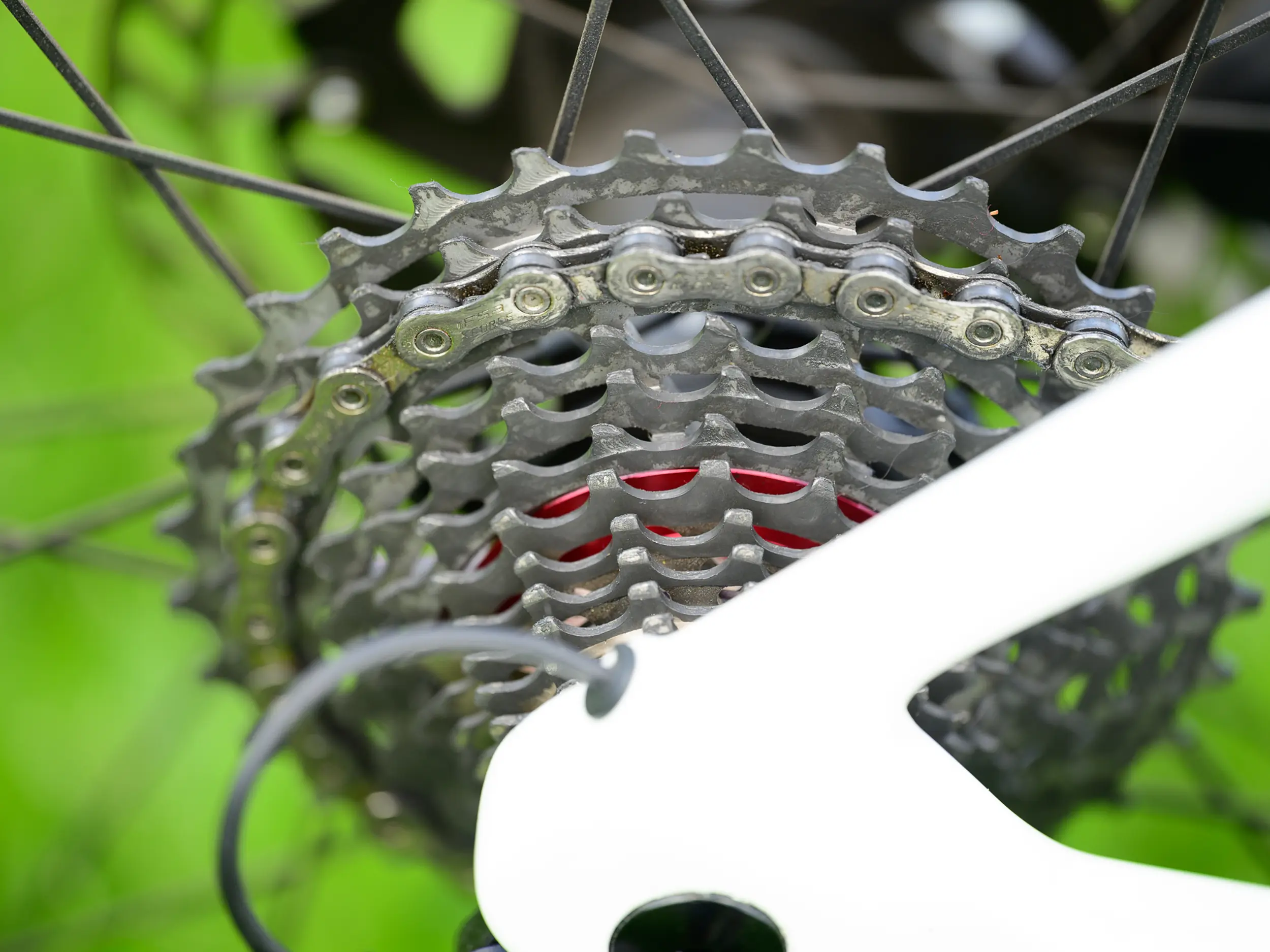 FSA K-Force WE 12s cogset