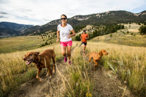 Help Prevent Your Dog From Overheating This Spring