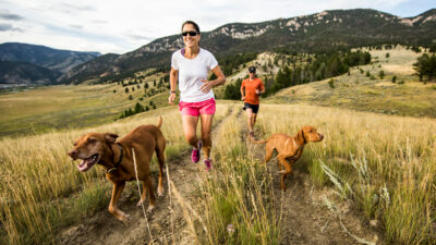 Help Prevent Your Dog From Overheating This Spring