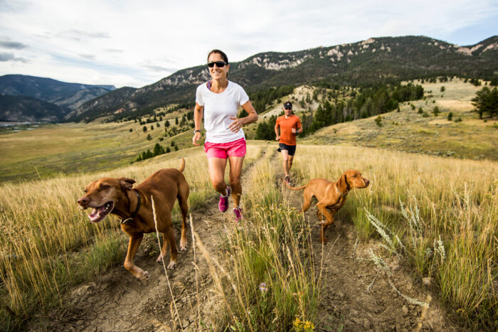 Help Prevent Your Dog From Overheating This Spring