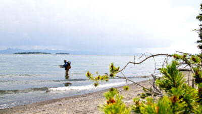 How to Fish in Yellowstone: Everything You Need to Know