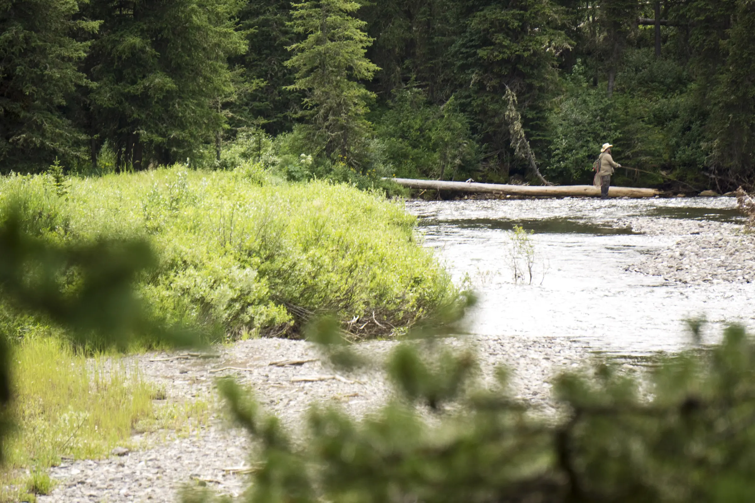 Fishing in Yellowstone