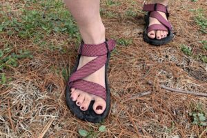 Do These ‘Rogue’ Sandals Rival Chacos? Forsake Sandals Review