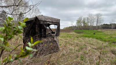 Browning Envy Hunting Blind Review: Standing Tall in the Woods