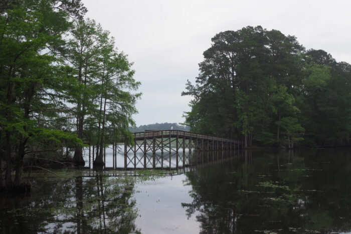Martin Dies Jr. State Park, Texas; (photo/Pam LeBlanc)