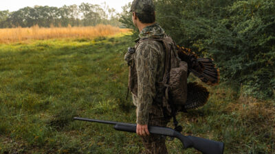 Late-Season Turkey Hunting Tactics