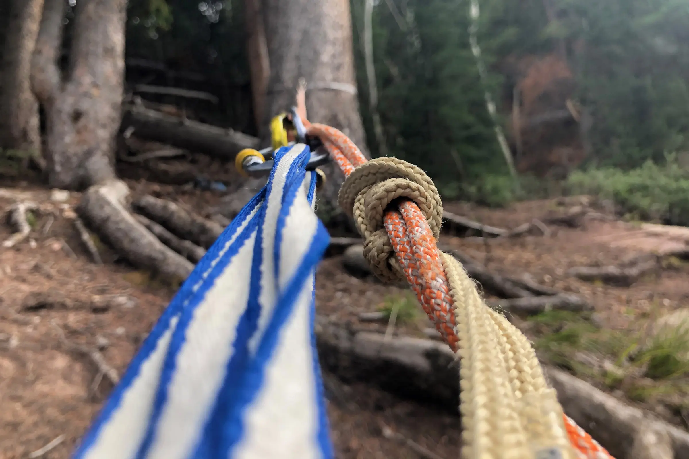 Petzl RAD Line and Mammut Glacier hyperstatic cord go head to head; (photo/Bergen Tjossem)