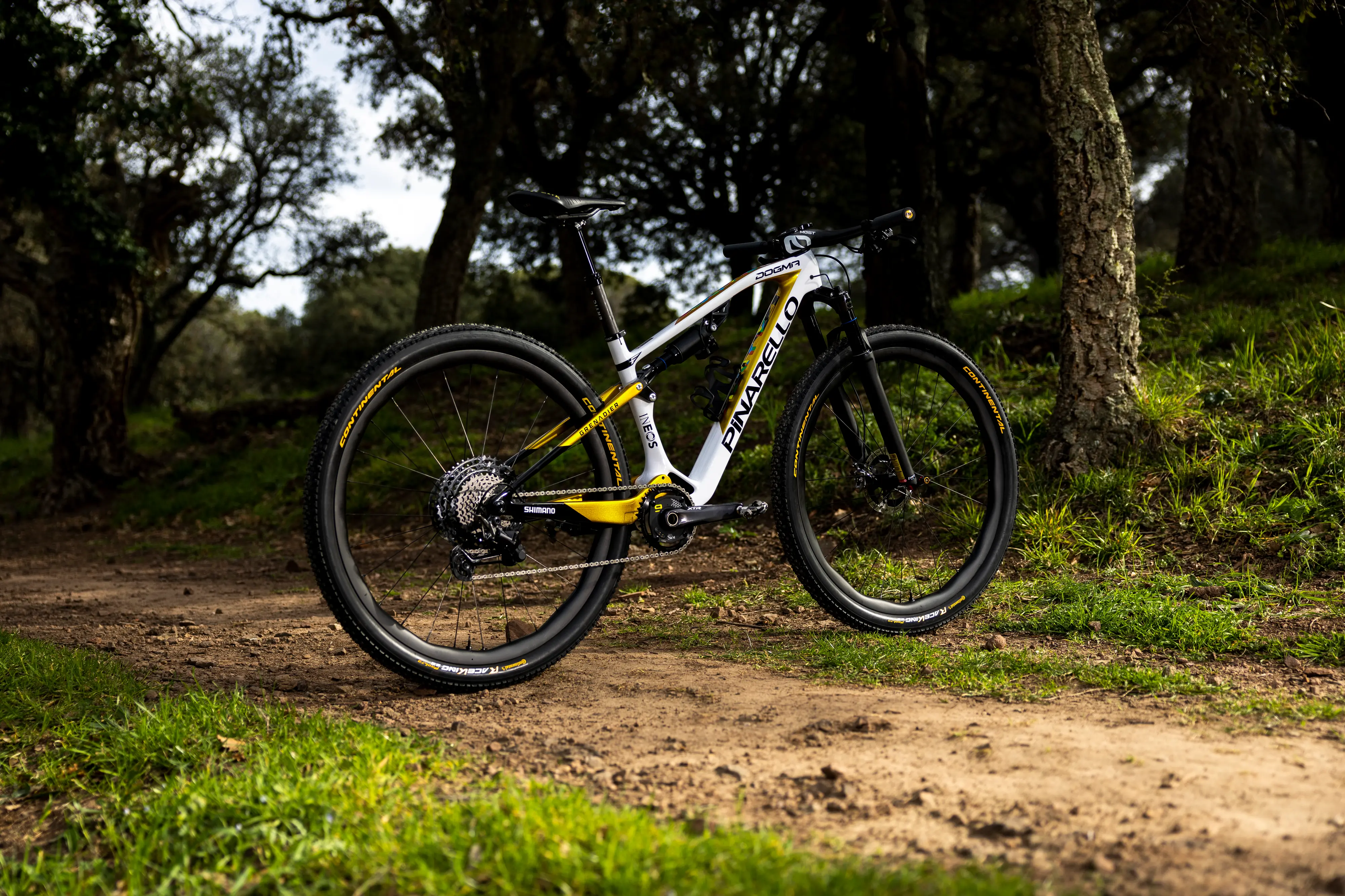 the dogma xc in profile, propped on trail