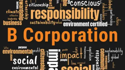 B Corp Gone Bad? One Company’s Futile Fight Against a Beneficent Giant