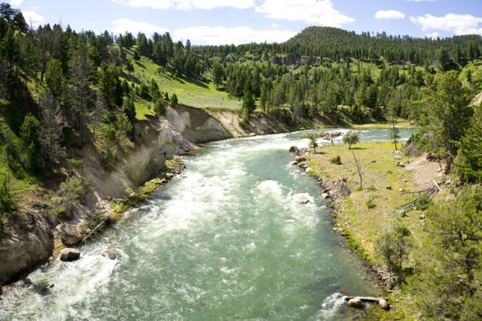 Blue Green River in Yellowstone