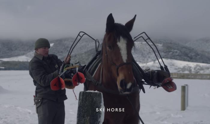 Cooler Than Skijoring? In New Zealand, Ride a Horse on Your Next Ski Approach