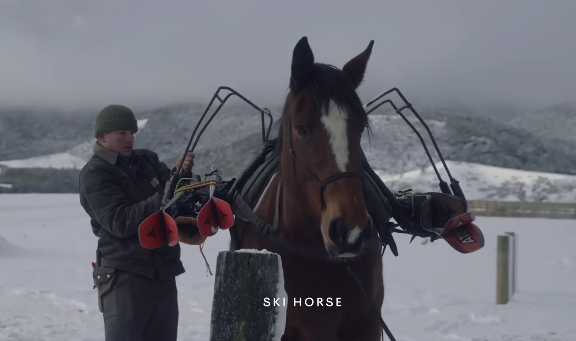 Cooler Than Skijoring? In New Zealand, Ride a Horse on Your Next Ski Approach