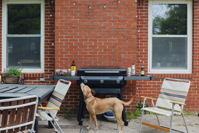 traeger flatrock propane grill in backyard with dog