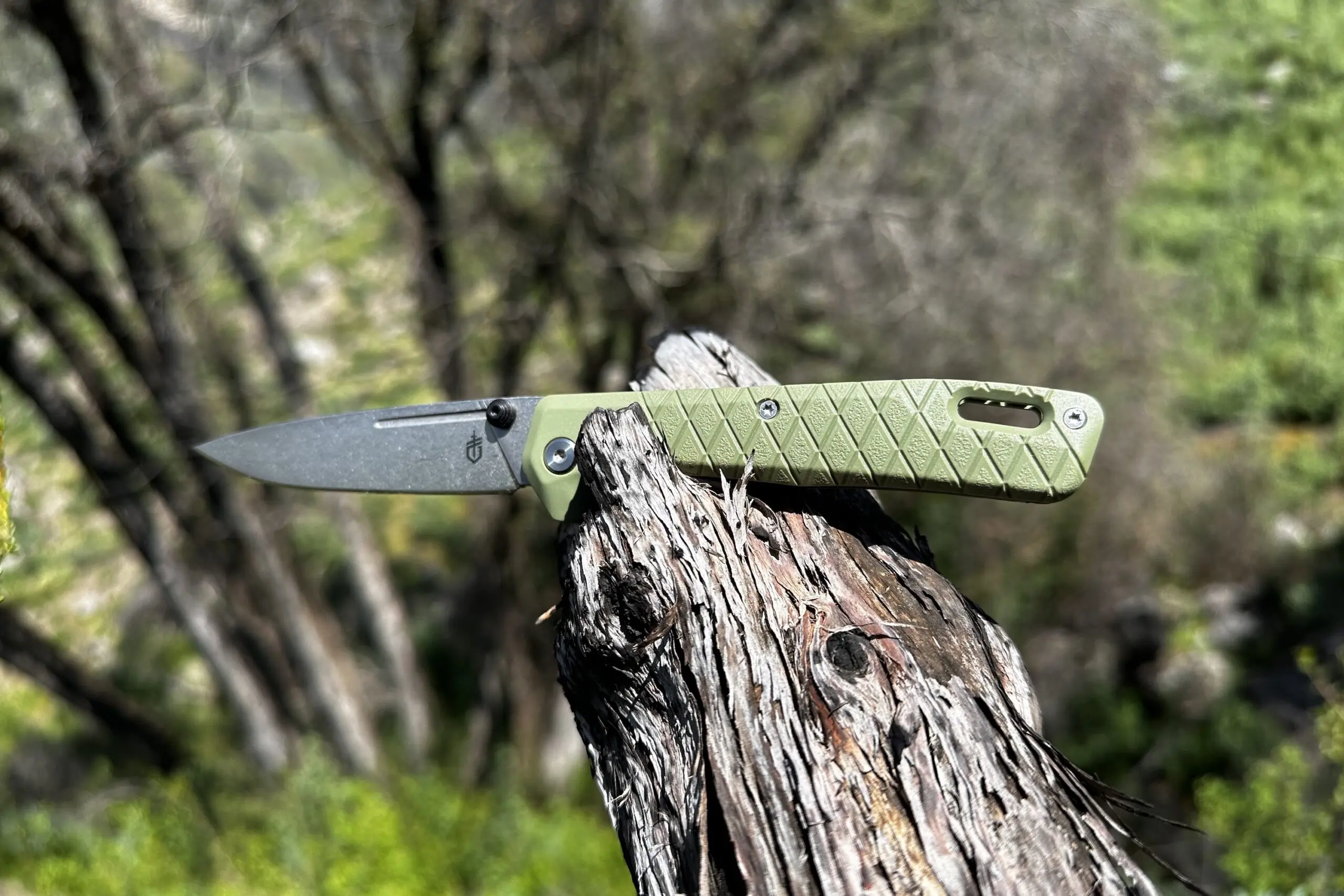 gerber gear zilch knife in lichen green color