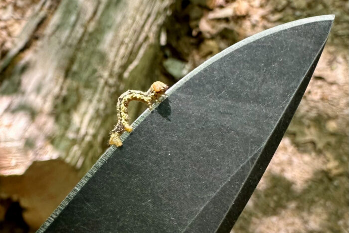 Benchmade CLA with MagnaCut - Battlewash finish