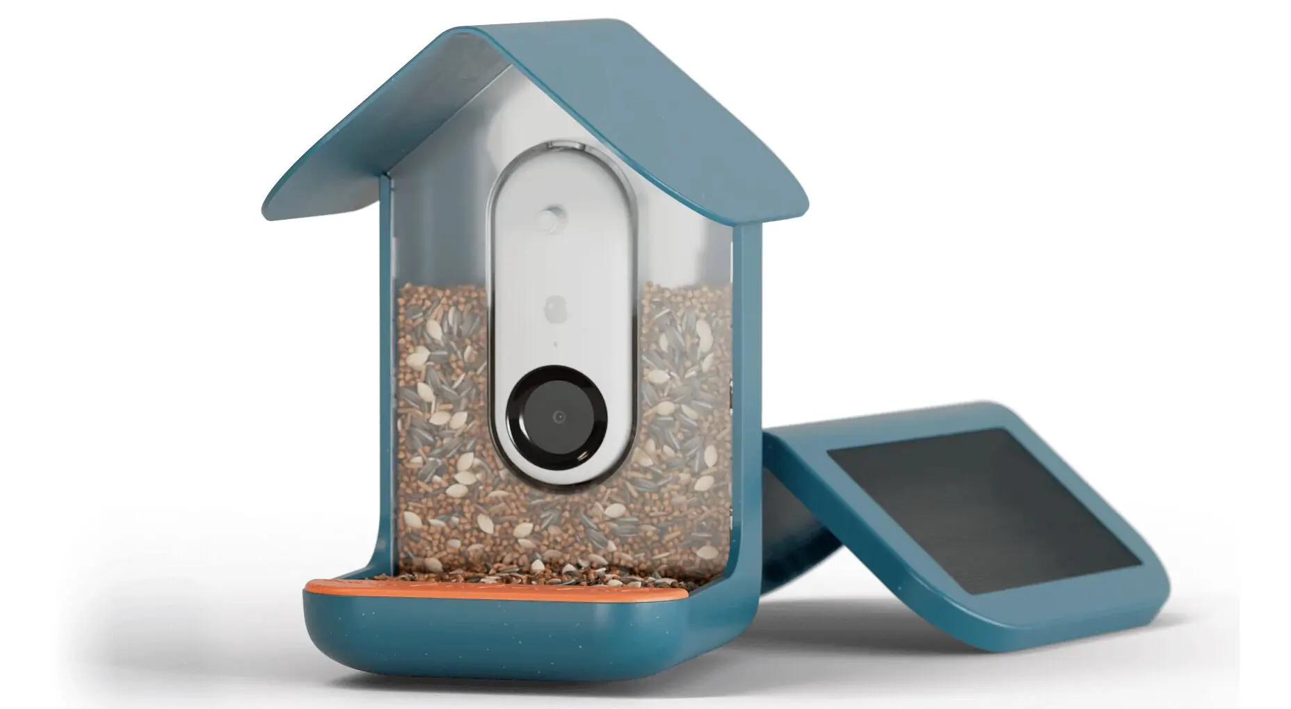 bird buddy smart bird feeder