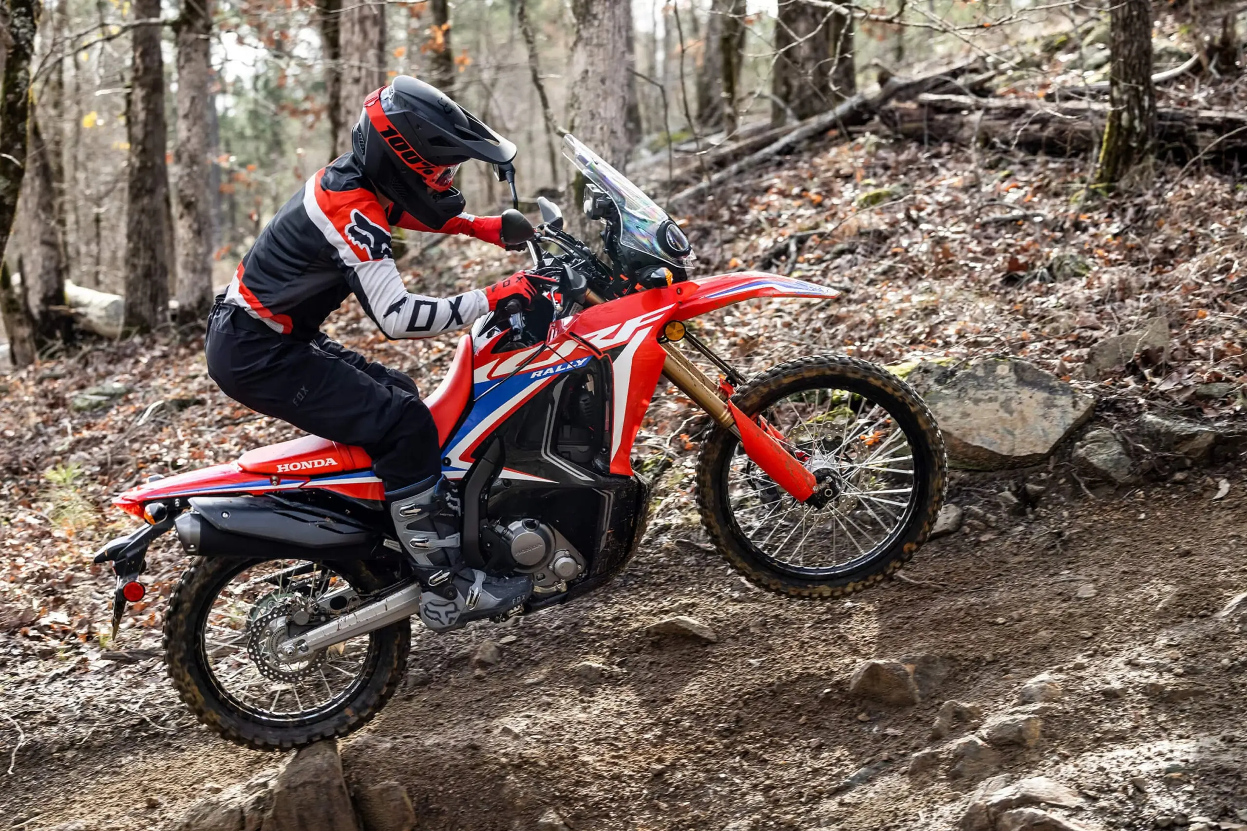 Honda CRF300L Rally