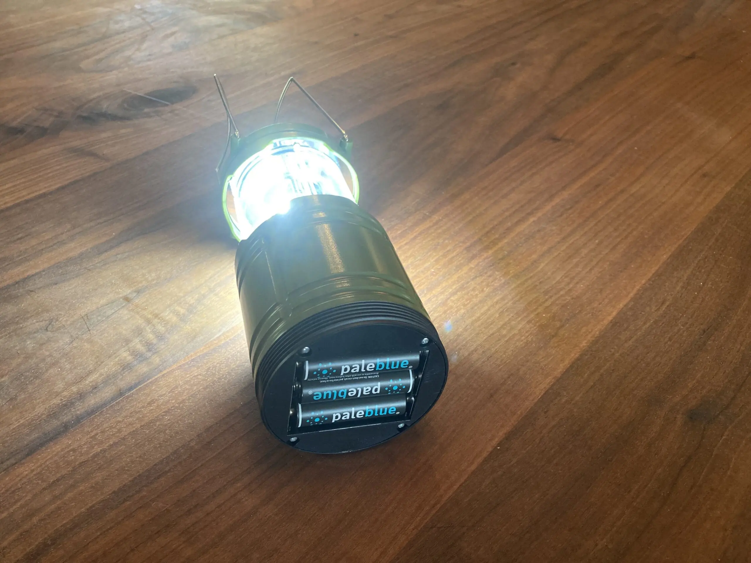 Pale Blue Earth AA and AAA rechargable batteries; (photo/Cameron Martindale)