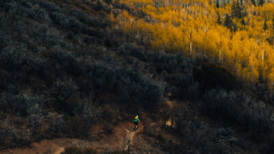 You Aren’t Wrong, Wildfires Are Getting Worse — But You Can Help