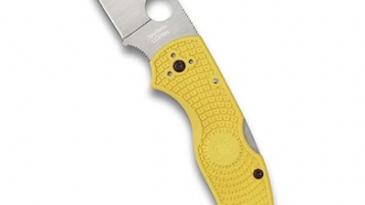 Spyderco Native 5 Salt