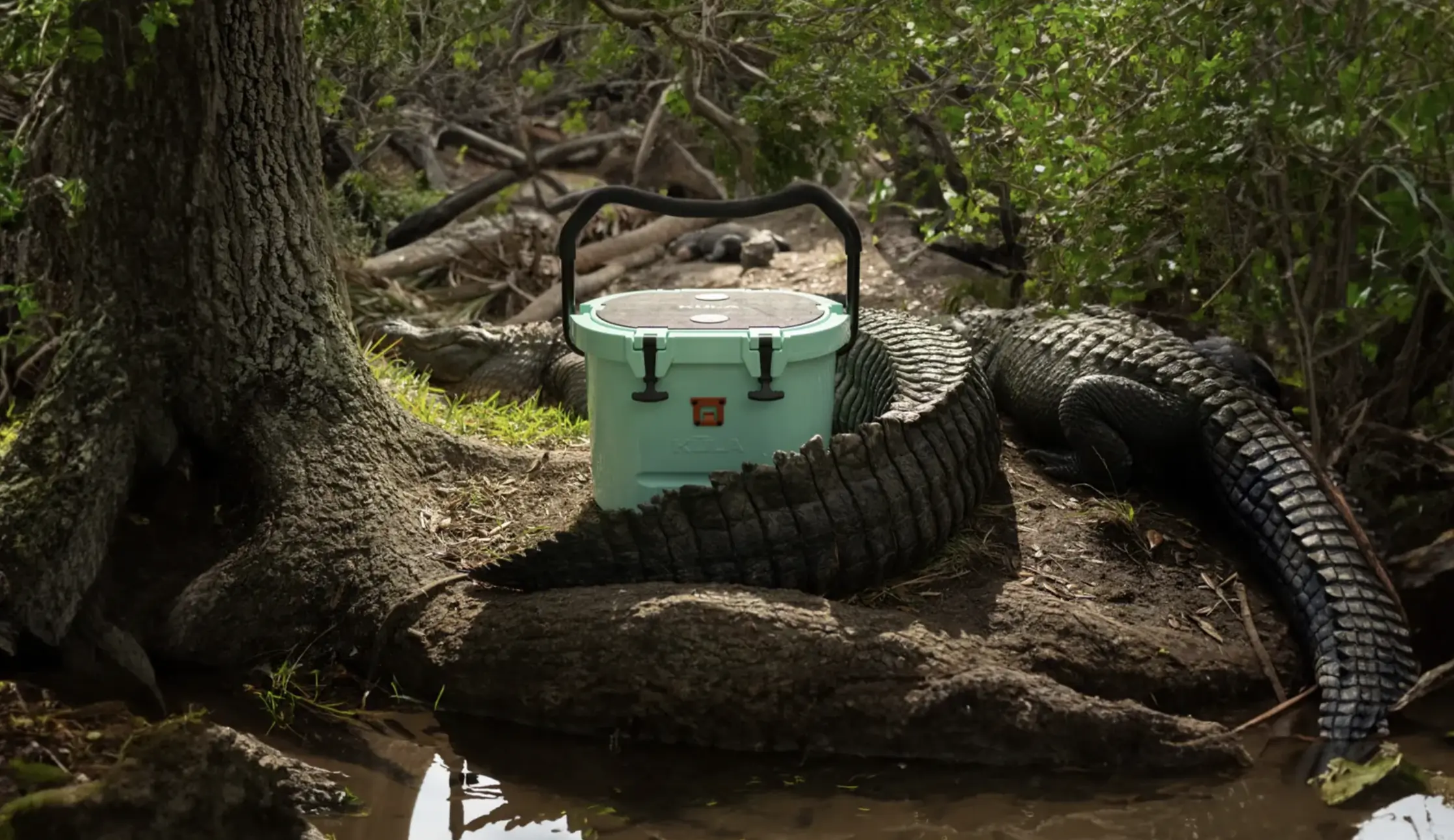 BOTE "Gator Proof" Kula Cooler