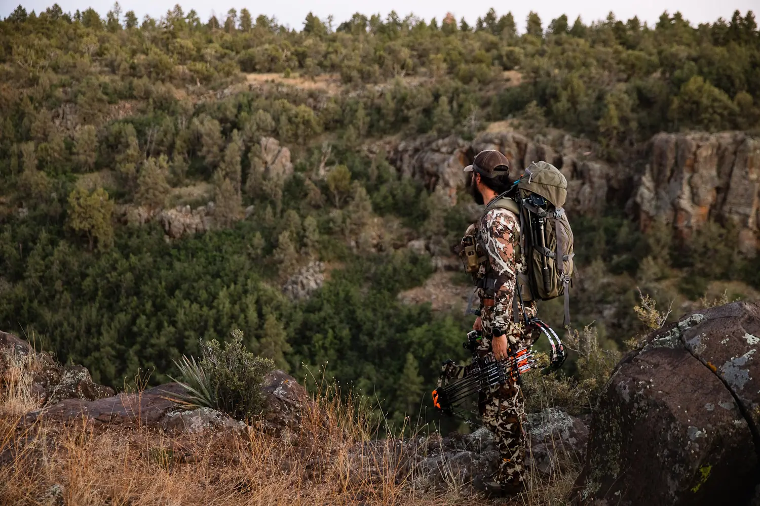 hunter in the wild looking out for animals