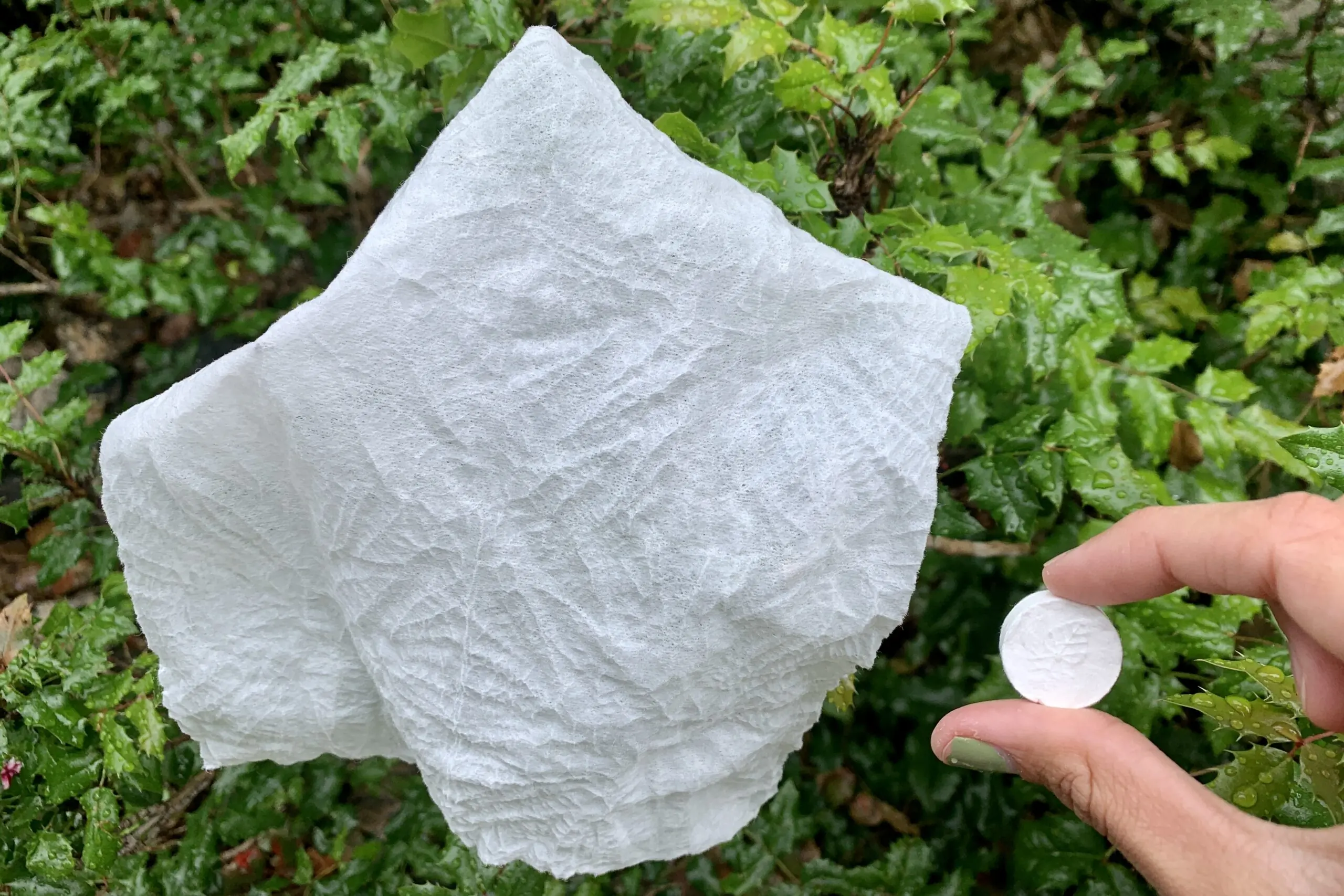 The PACT Lite; (photo/Mary Murphy)