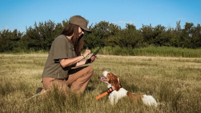 How to Train Your Hunting Pup: The Importance of Love and Nutrition