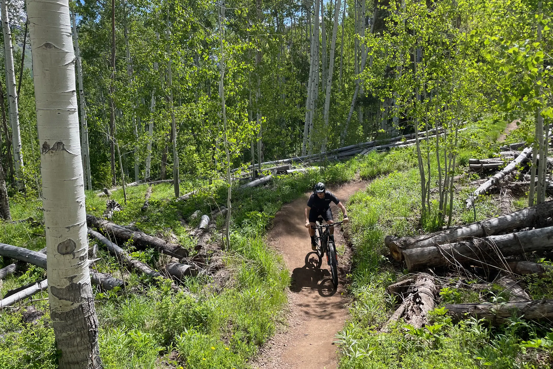 Mountain biker in Colorado