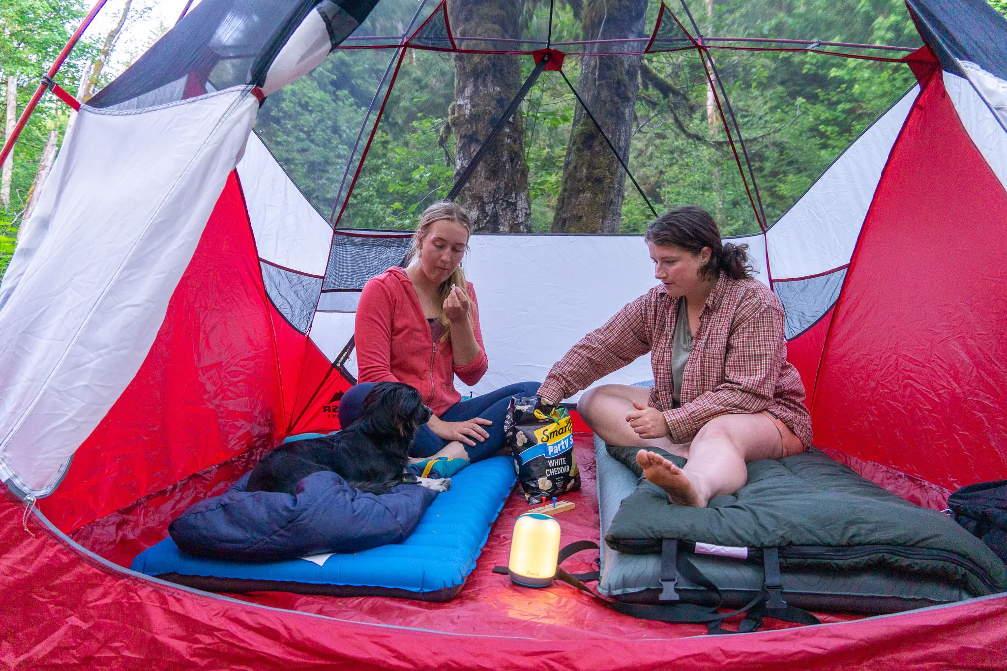 MSR Habiscape Camping Tent Interior View