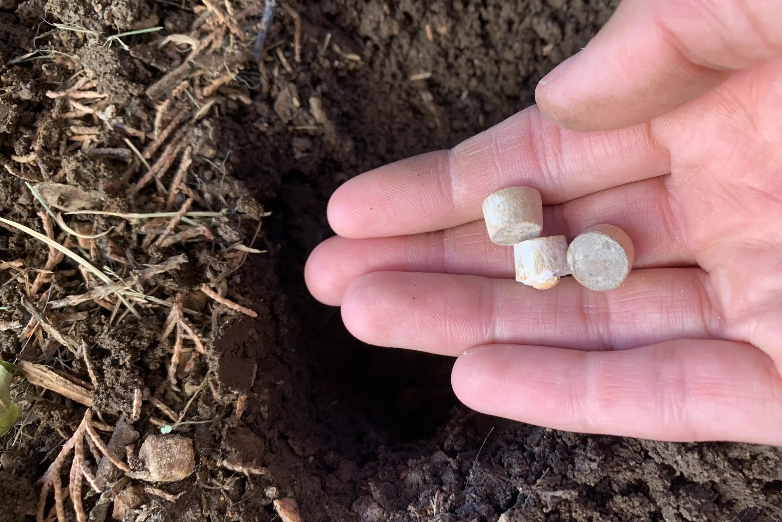 The PACT Lite Outdoor Bathroom kit