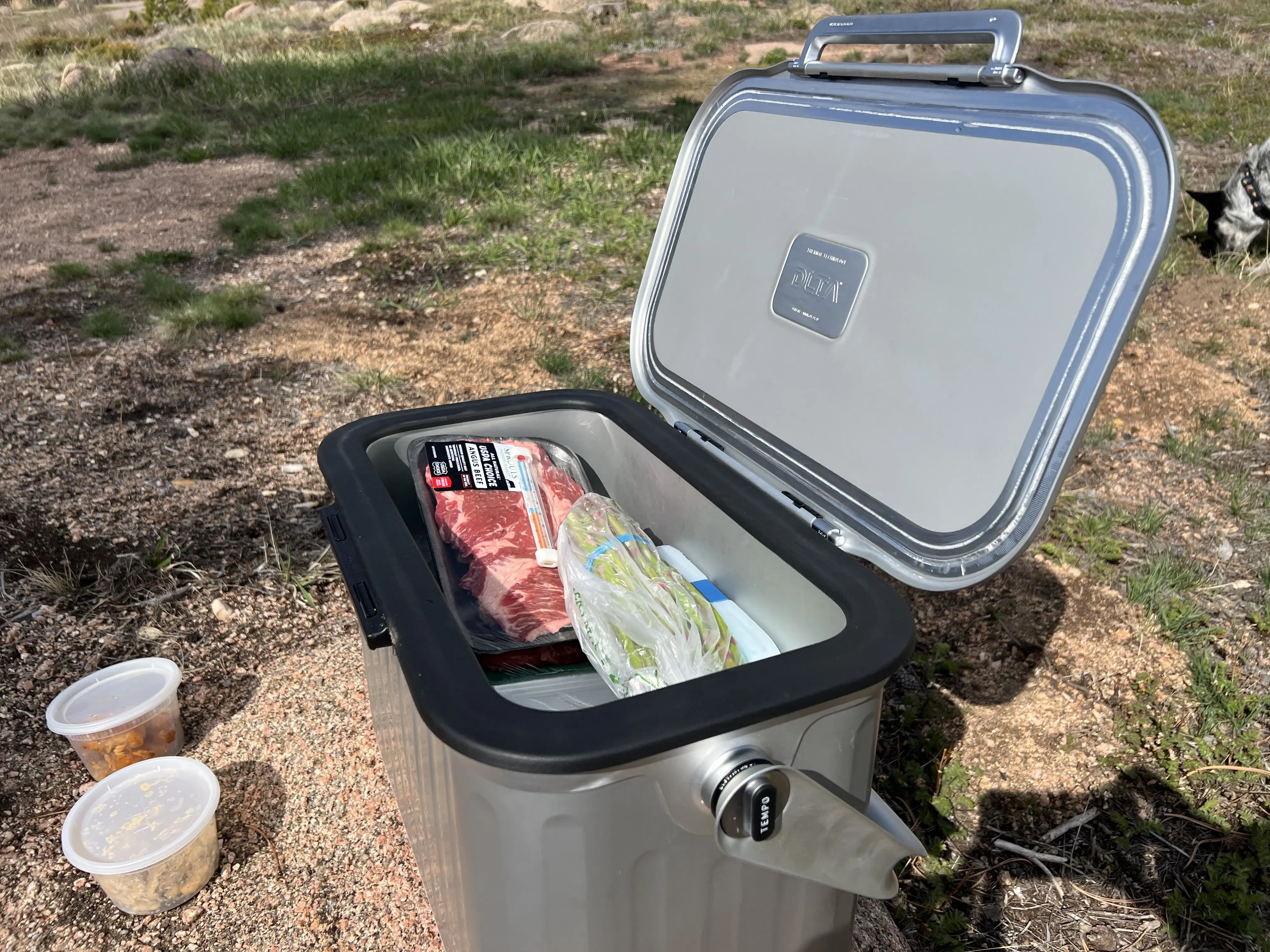 Oyster Tempo Titanium Cooler