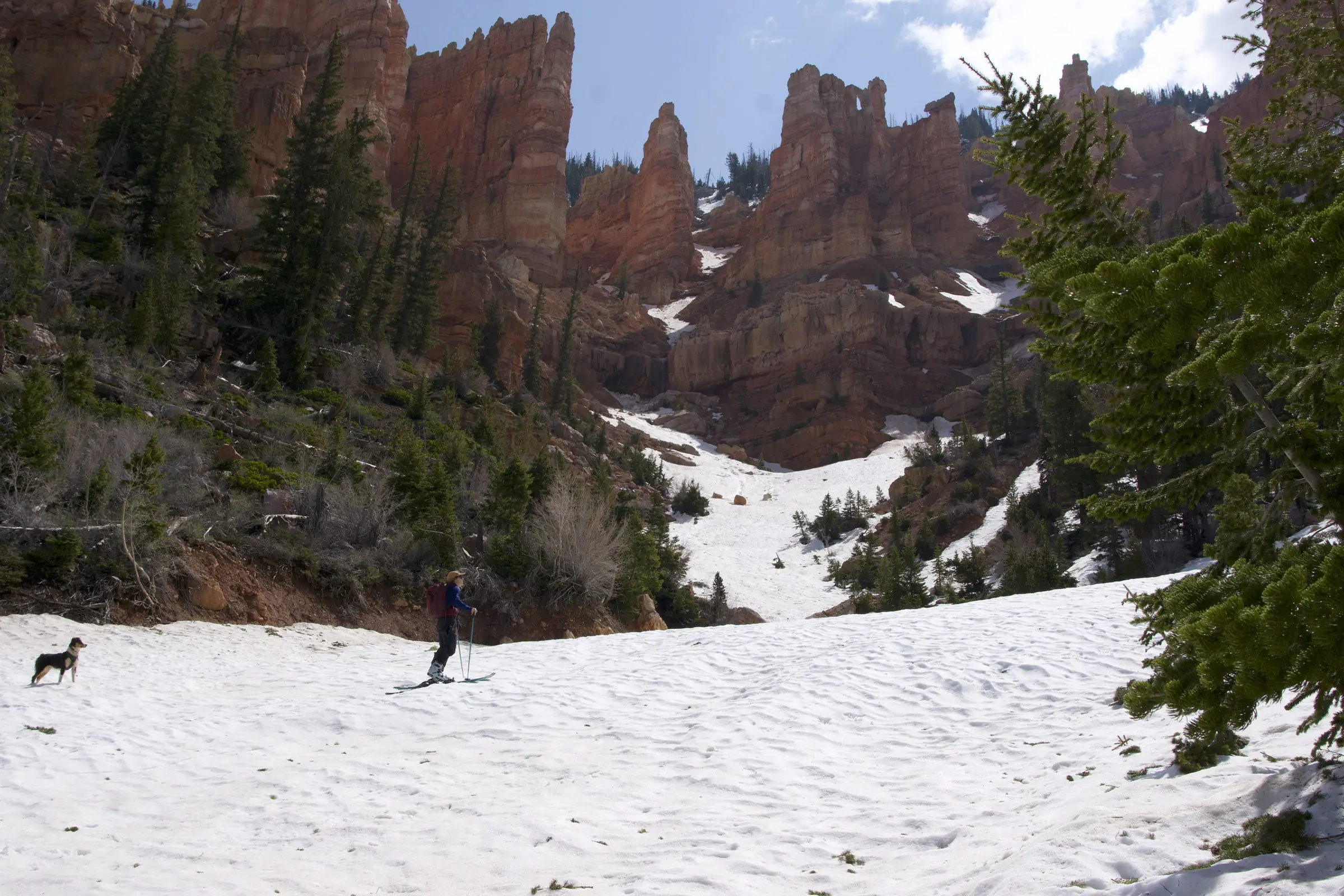 Salomon Shift Pro 110 W AT Alpine ski boots - review