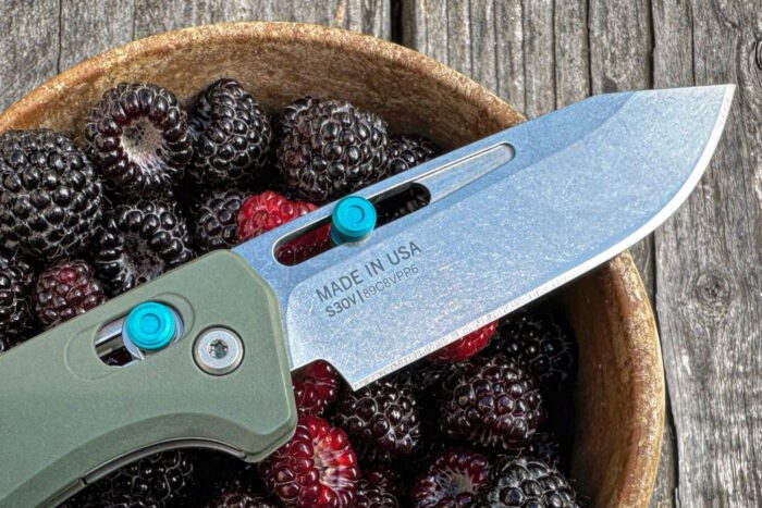 Bowl of Blackberries and Gerber Assert knife
