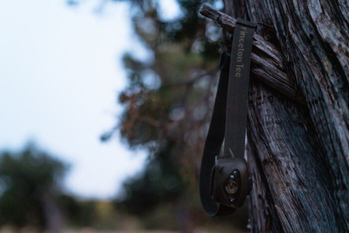 Headlamp hanging on tree