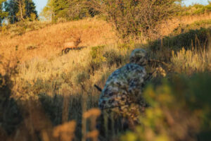 Sitka Intercept Collection