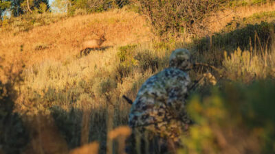 Sitka Intercept Aims for Sight, Scent, and Sound Suppression