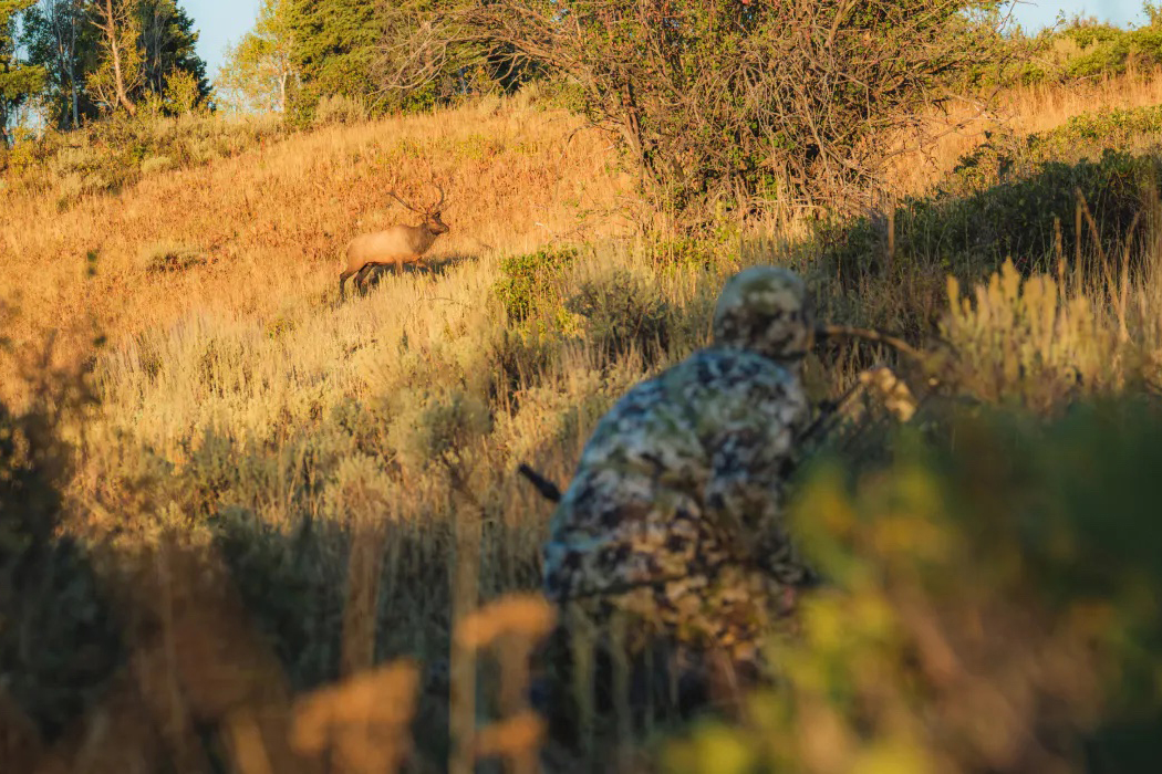 Sitka Intercept Collection