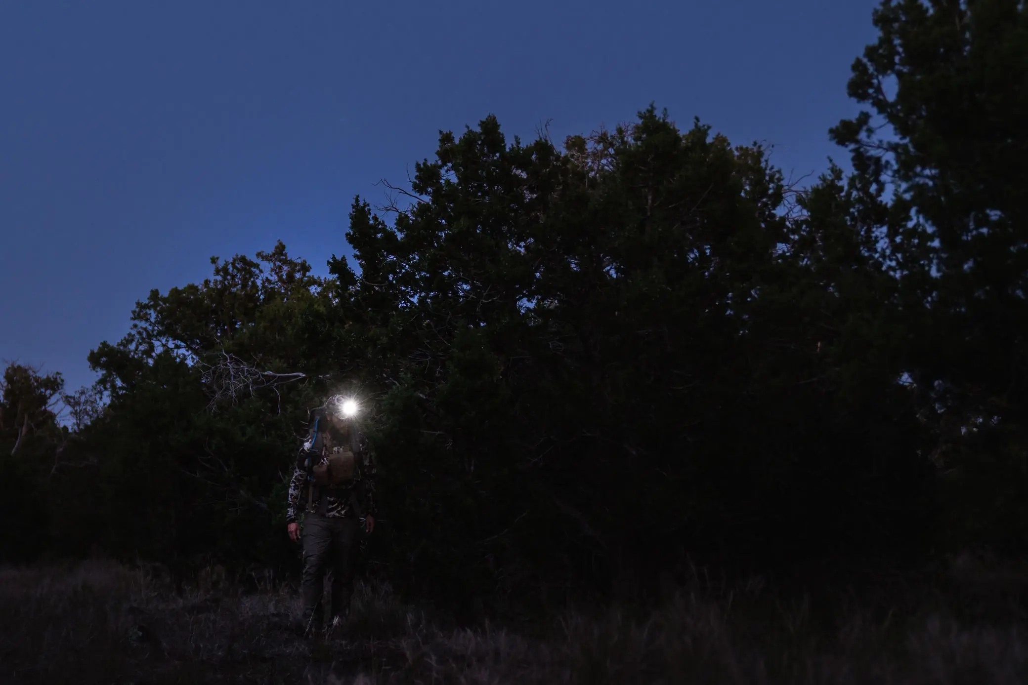 man wearing a headlamp shines a light in a dark forest