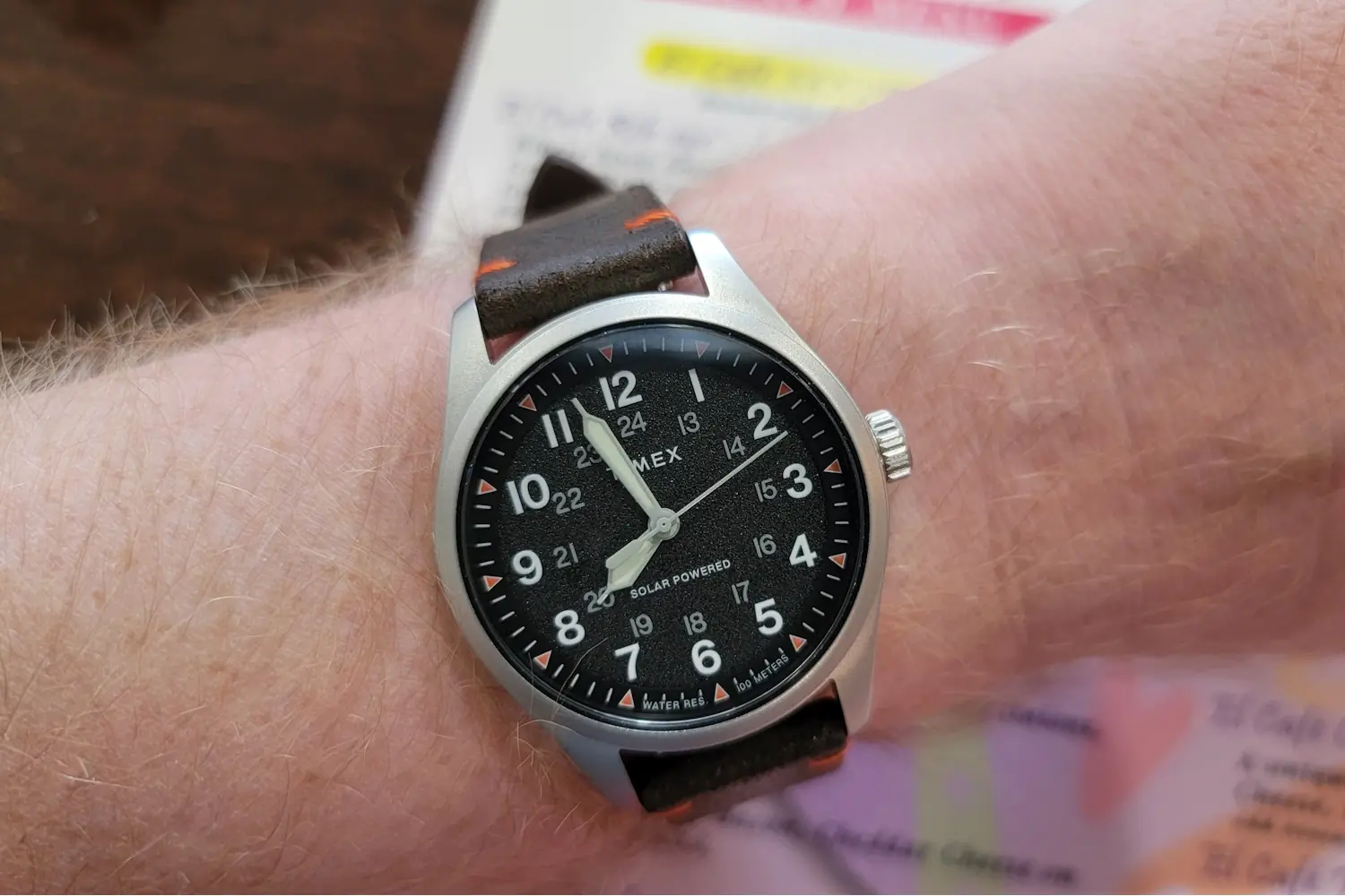 Expedition North Watch