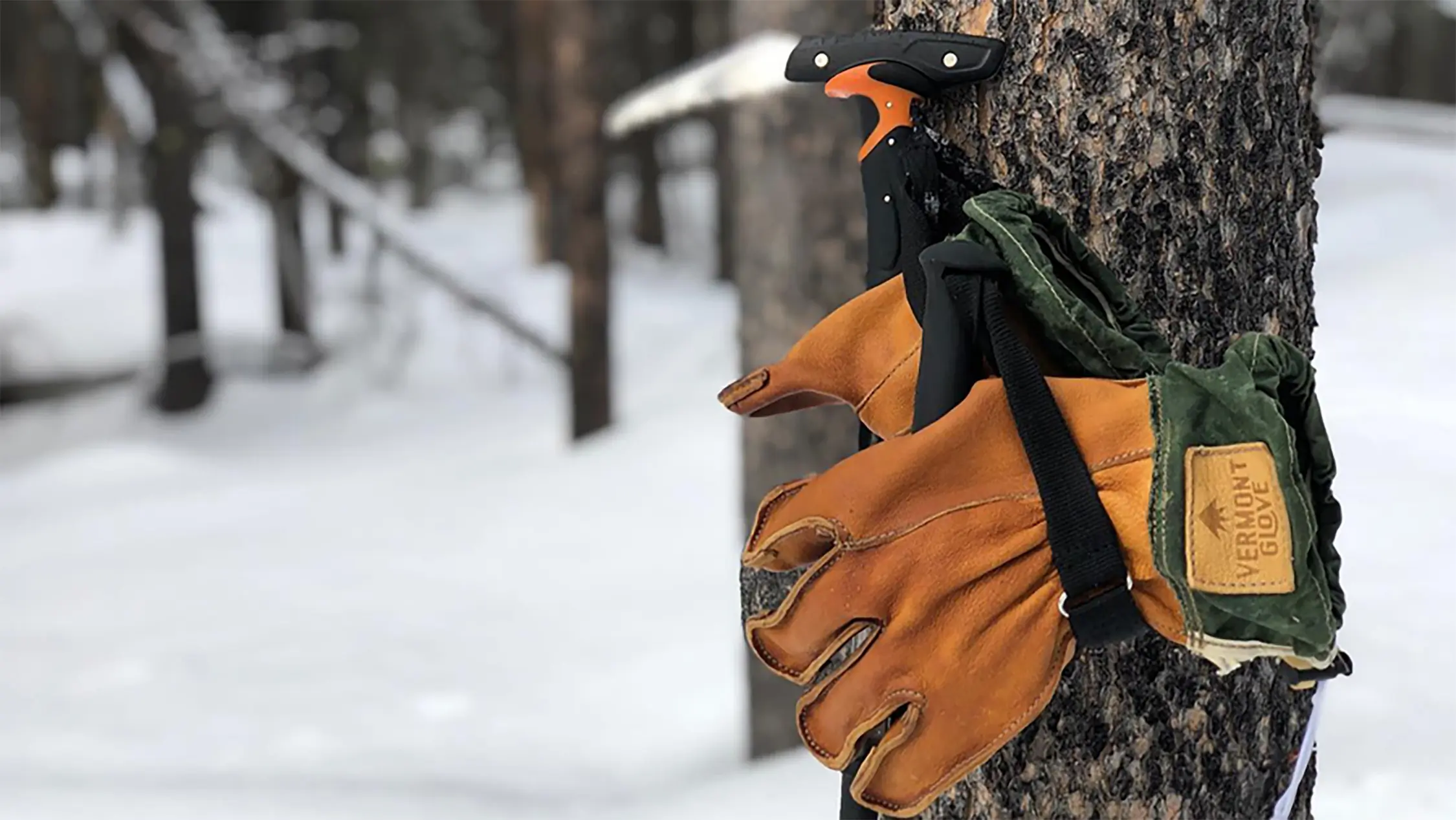 vermont glove tacked to a tree in the winter