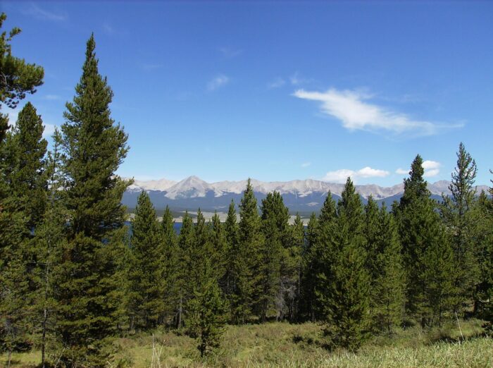 Cottonwood Pass, Colorado