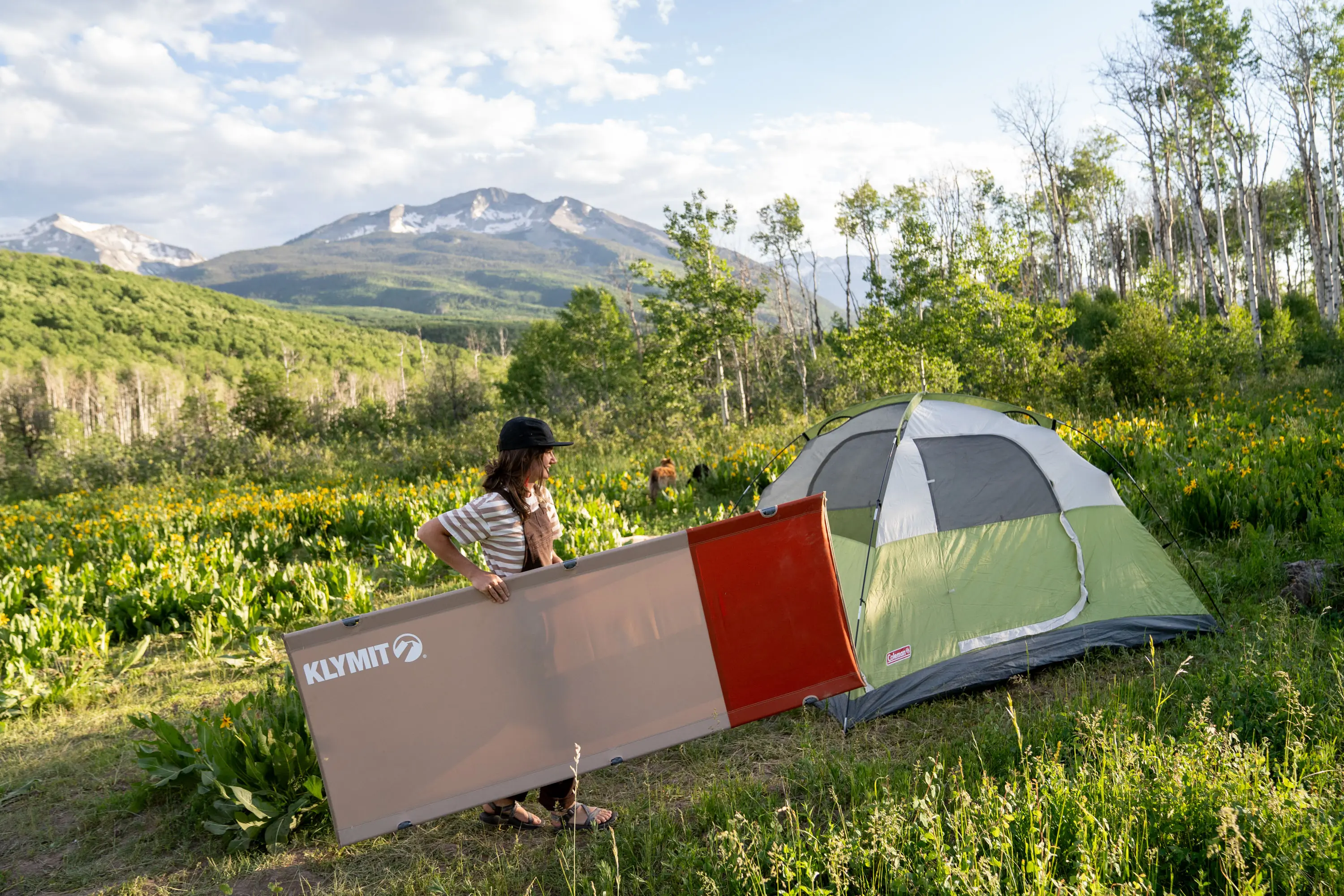 Camping Cot and Tent Set Up