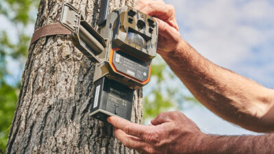 Cut to the Chase With the Moultrie Mobile Edge Pro Cellular Trail Cam