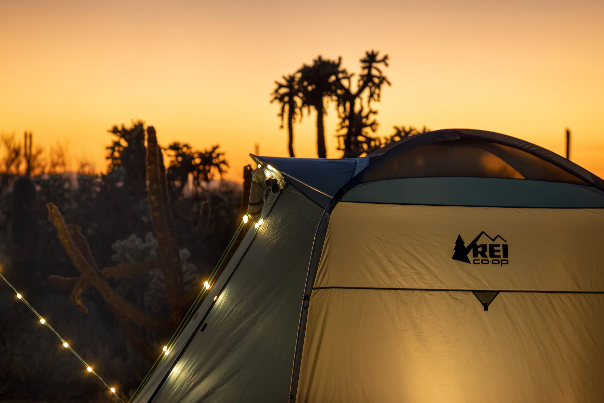 REI Labor Day Sale: Top Camping Gear Deals