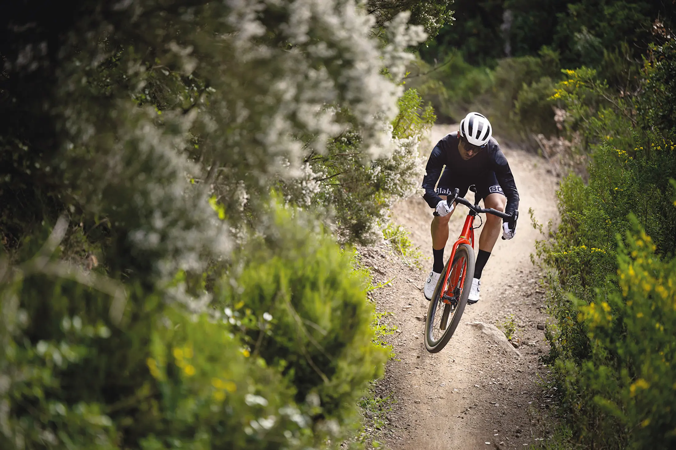 Free At-Home Bike Ergonomics Measuring Kit Lets You Skip the Trip